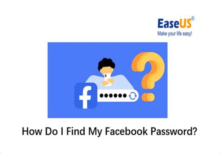 How do I find my Mibfa password?