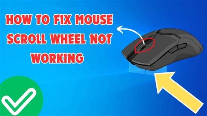 How do I fix scroll wheel not working?
