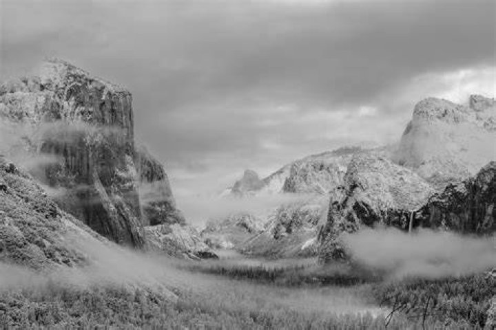 How do I make black and white photos stunning in Lightroom?