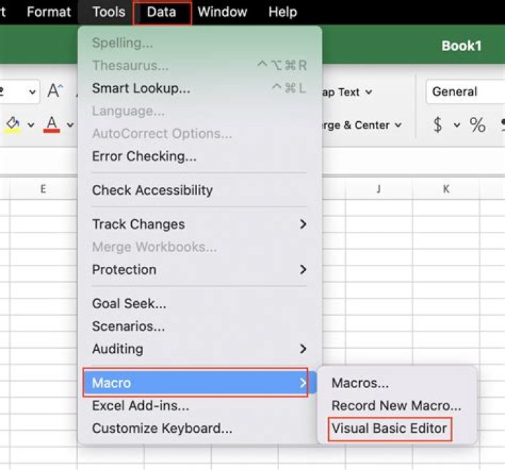 How do I run VBA in Excel on a Mac?