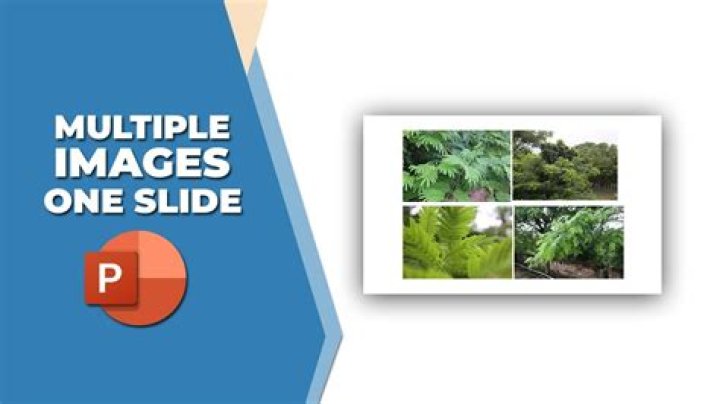 How do I save multiple images as a PDF in Preview?