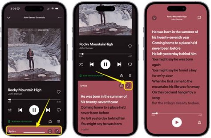 How do I see my album credits on Apple music?