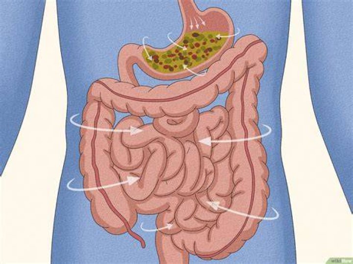 How do I stop my intestines from hurting?