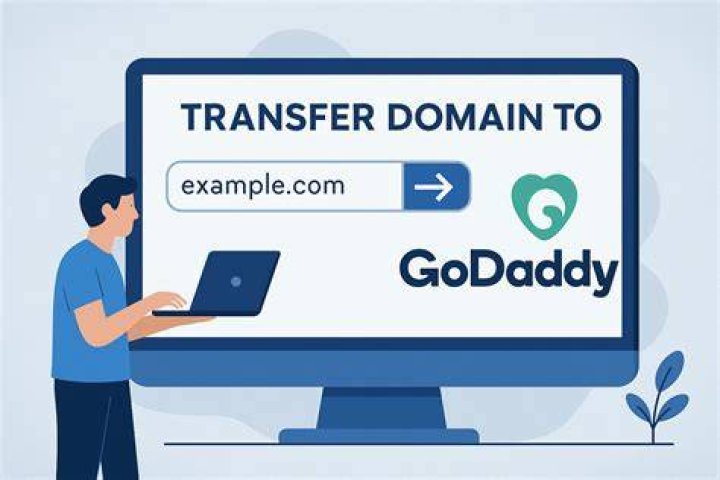 How do I transfer a domain from GoDaddy to net4india?
