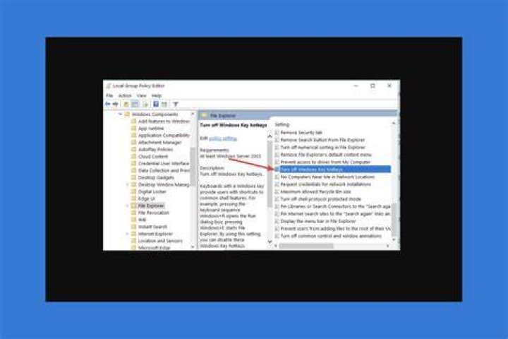 How do I turn off Windows Search filter host?