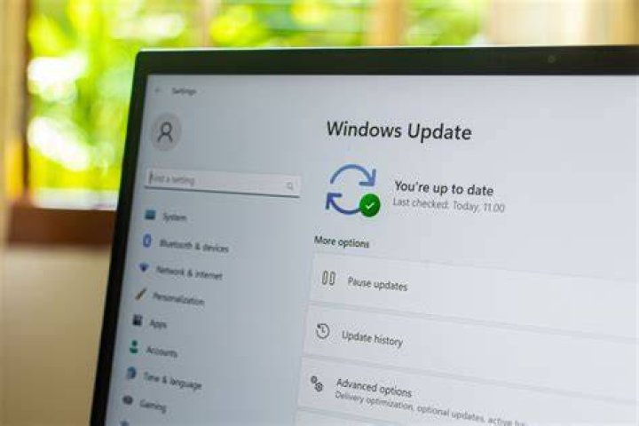 How do I update Sage 2020?