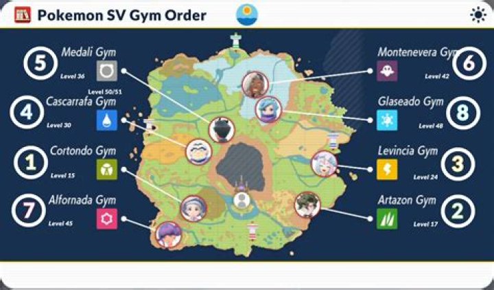 How do Pokemon gyms work?