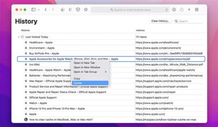 How do you access history on a Mac?