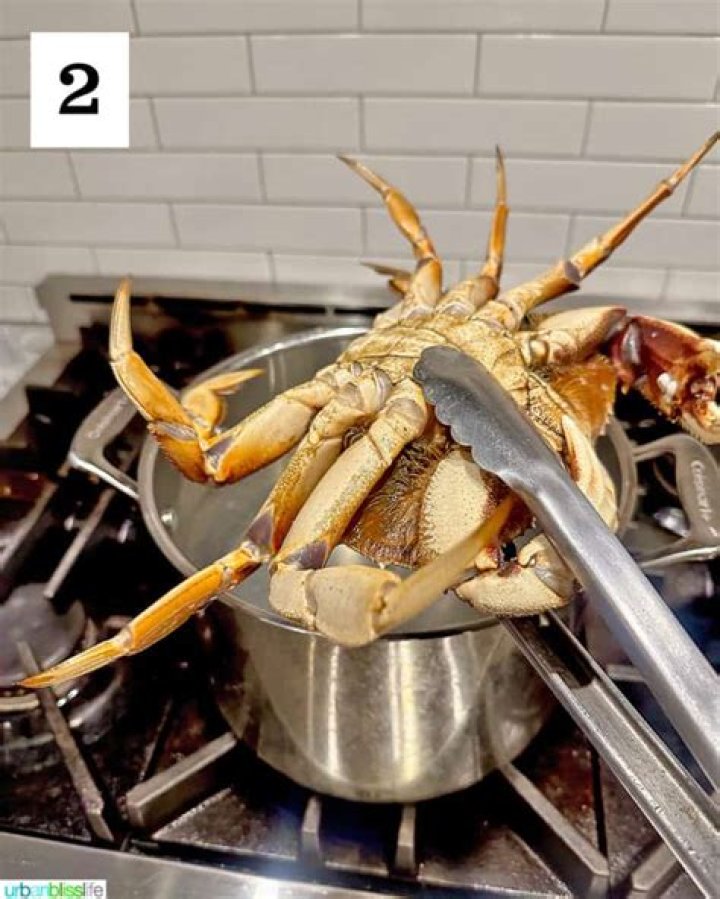 How do you boil Dungeness crab clusters?