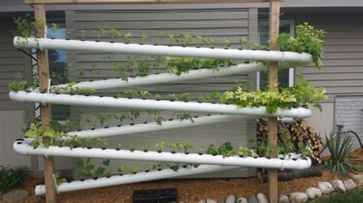 How do you build a vertical garden with PVC pipe?