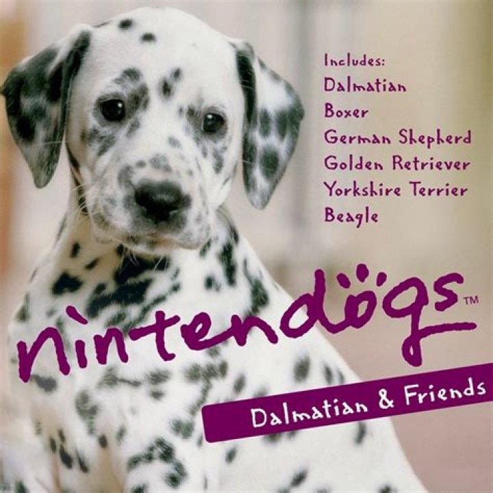 How do you call your dog on Nintendogs?