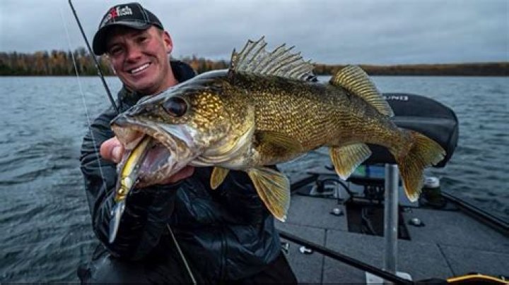 How do you catch walleye in Rice Lake?
