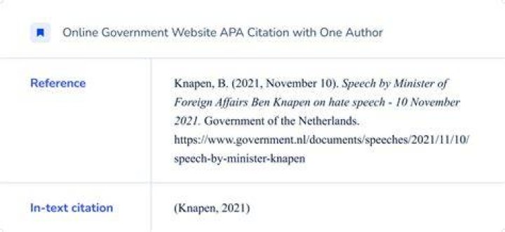 How do you cite a government code in APA?