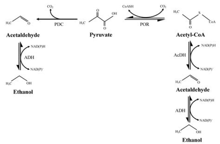 How do you convert ethanol to acetaldehyde?