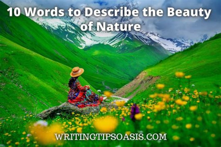 How do you describe a beautiful memory?