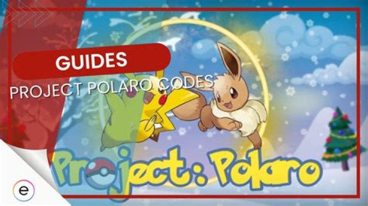 How do you enter codes on project Polaro?