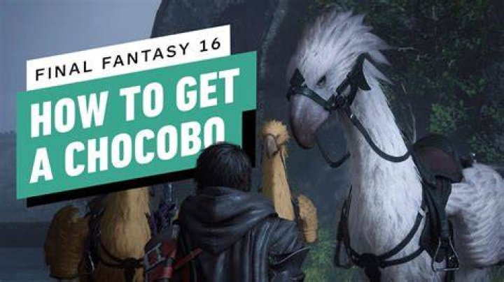 How do you get a chocobo in FFXV?