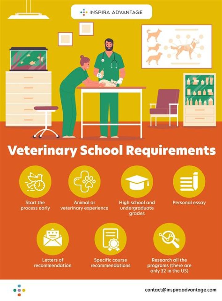 How do you get into vet school in Australia?