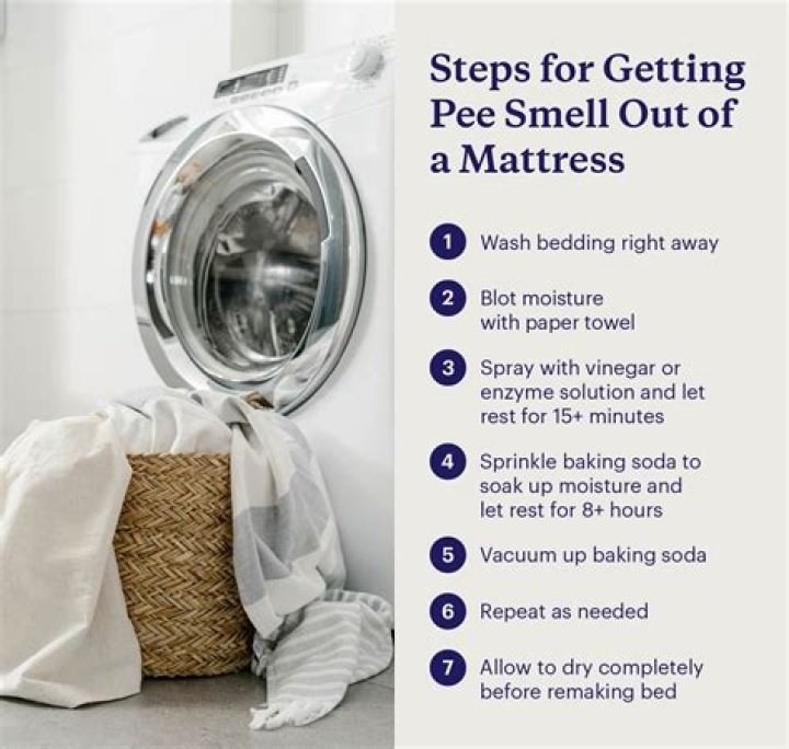 How do you get pee out of a mattress in 5 steps?