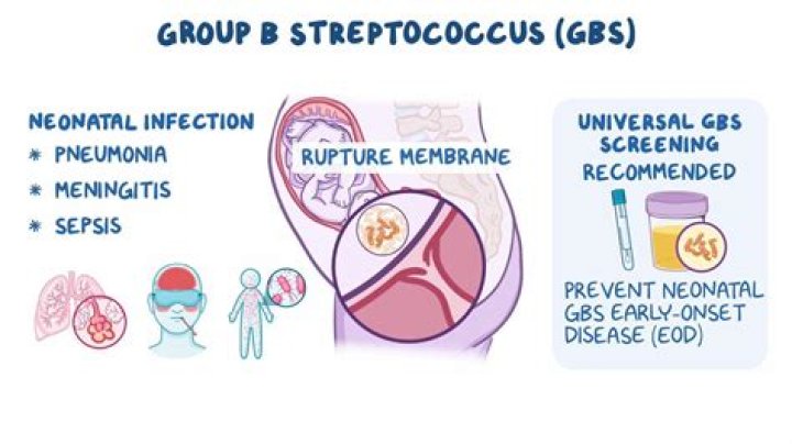 How do you get strep B pregnancy?