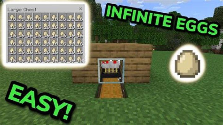 How do you make a egg farm with a hopper in Minecraft?