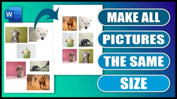 How do you make all photos look the same Photoshop?