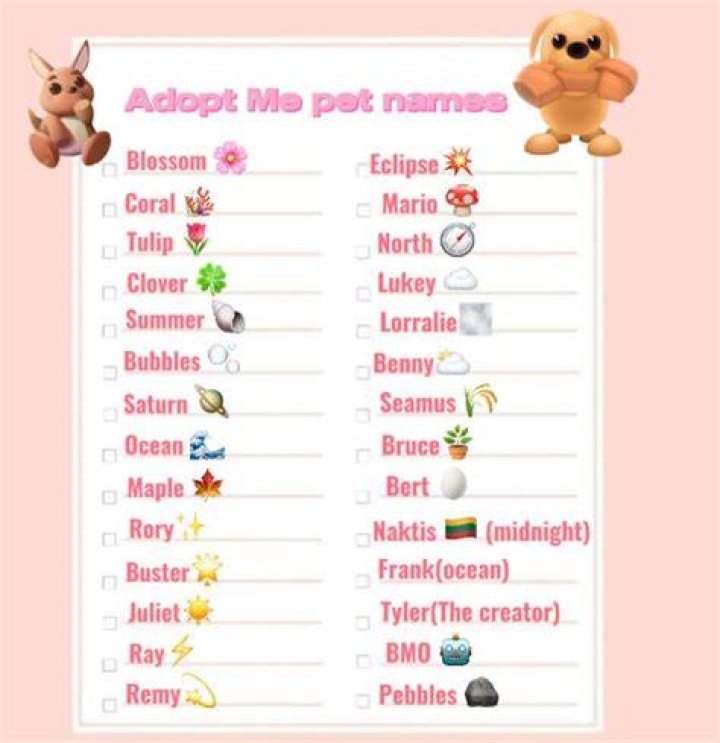 How do you name your pet on Mineplex?