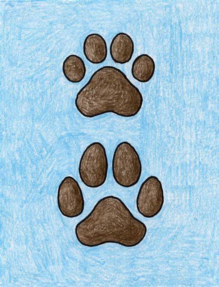 How do you put money on a paw print?