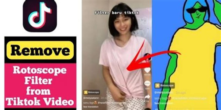 How do you remove a filter from a TikTok?