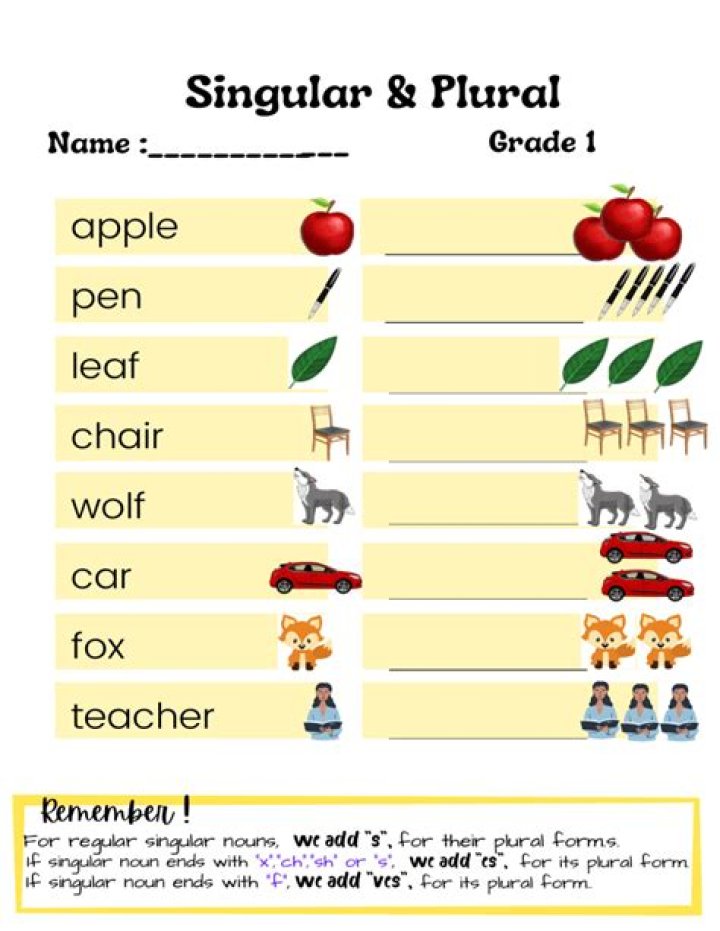 How do you teach singular and plural to grade 1?