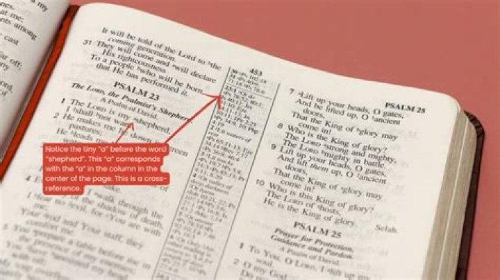 How do you use Bible references?