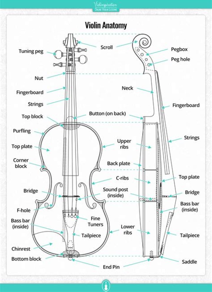 How does a violin change pitch?