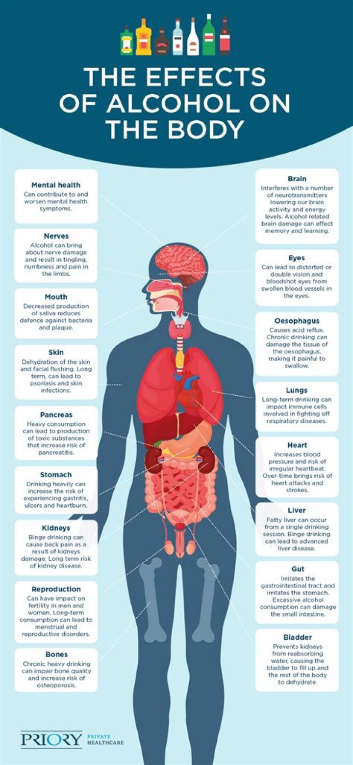How does alcohol affect the reproductive organs?