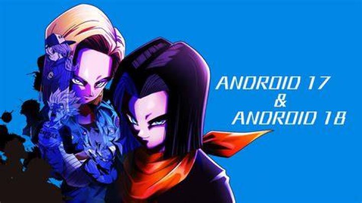 How does Goku defeat Android 17 and 18?