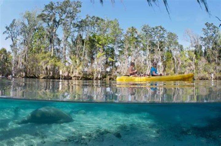 How far is Crystal River from Clearwater Beach?