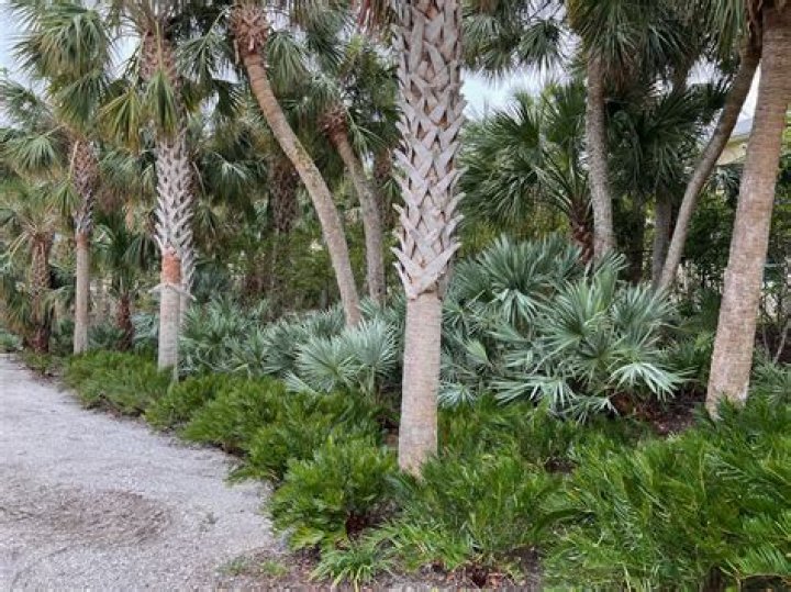 How far is Palmetto Bay from South Beach?
