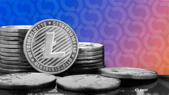 How fast are litecoin transactions?