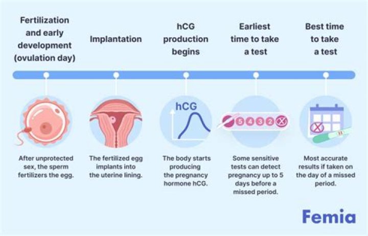 How long after an abortion does it take for your hCG levels to go down?