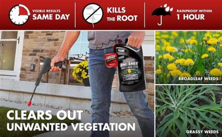 How long after grass killer can you plant?