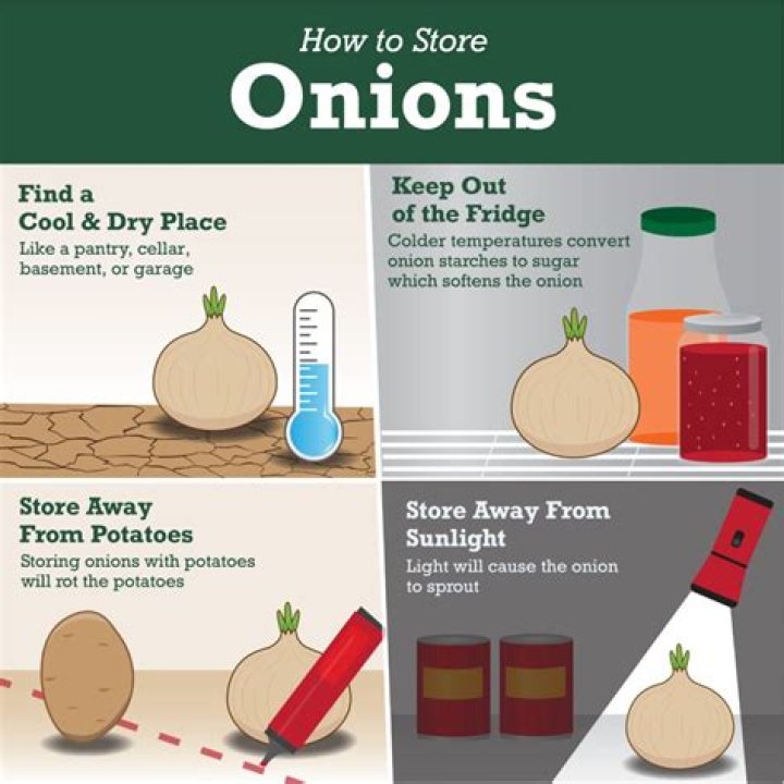 How Long Can onions be stored?