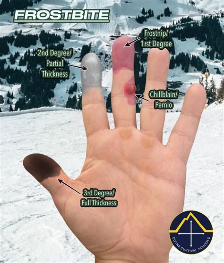 How long does it take for shepherd's purse to stop bleeding?