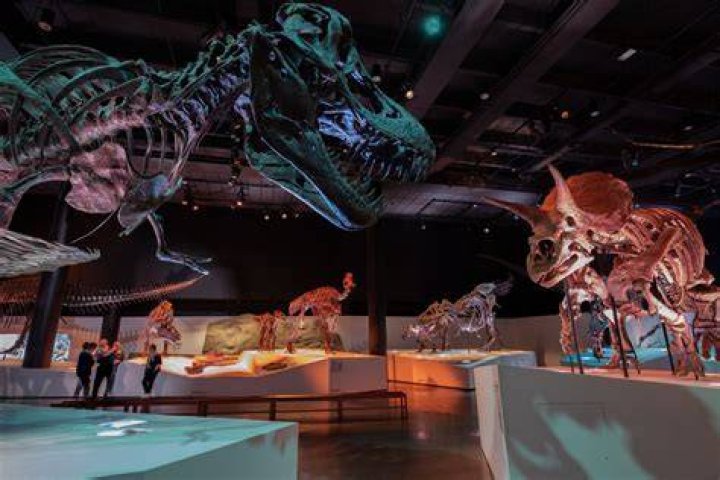 How long does it take to see the Houston Museum of Natural Science?