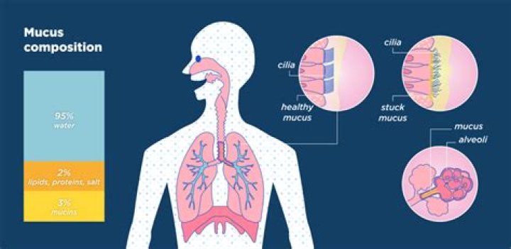 How long does mucus relief last?