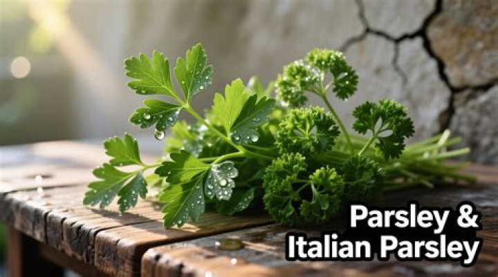 How long is fresh parsley good for in fridge?