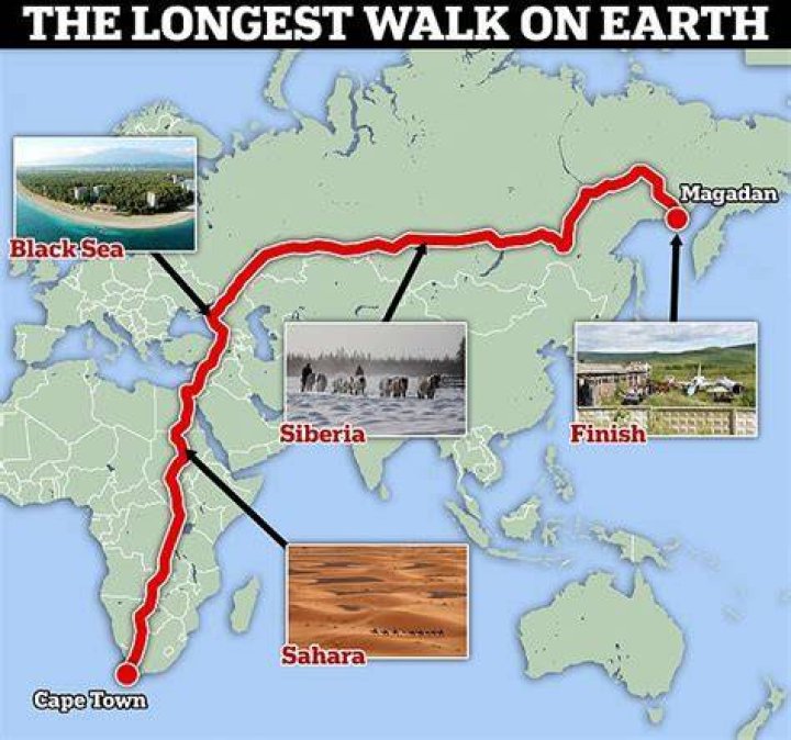 How long is the world's longest turd?