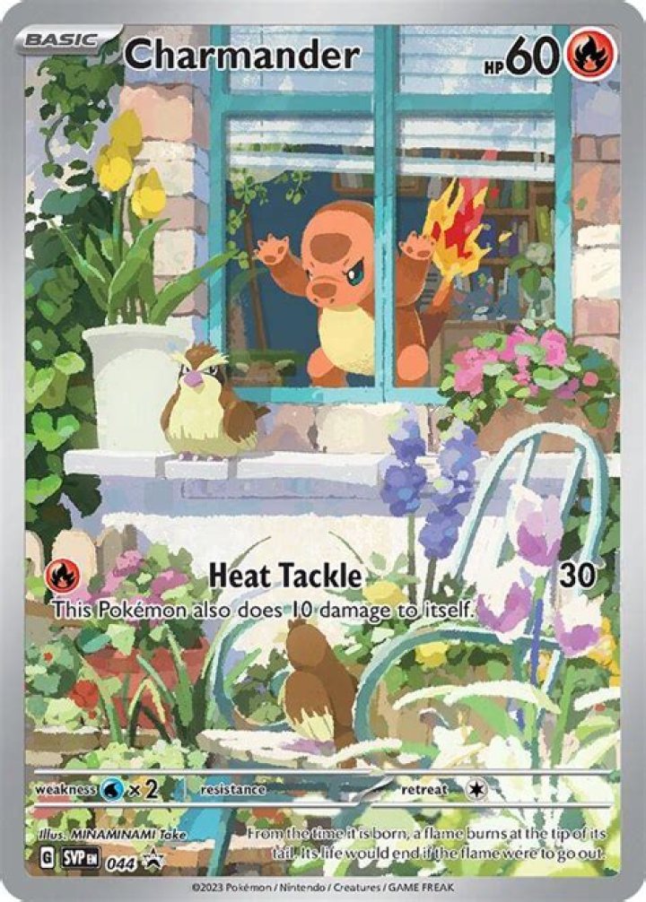 How many Charmander cards are there?