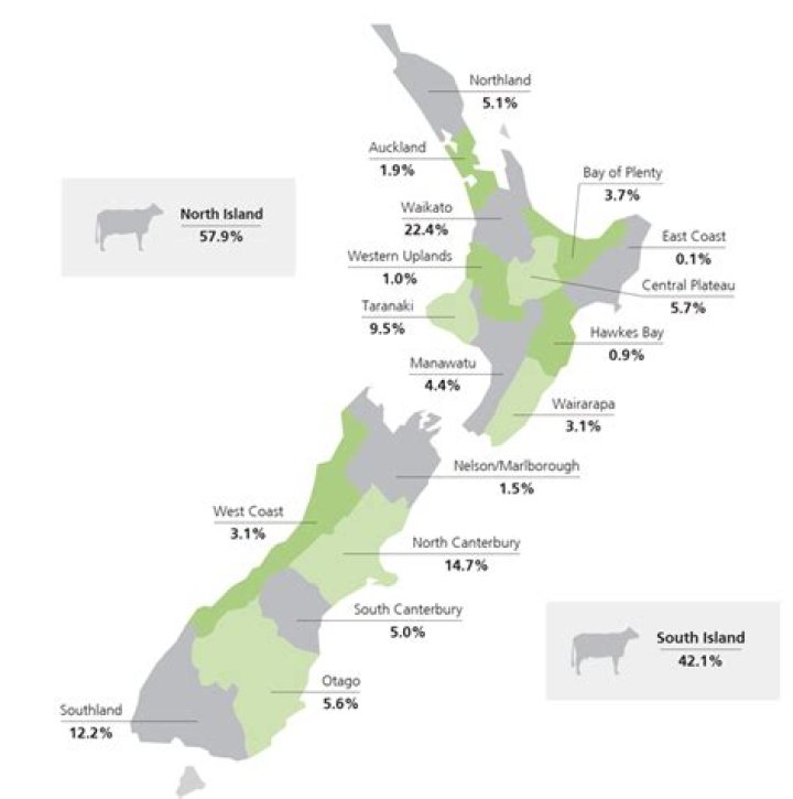 How many cows are in New Zealand?