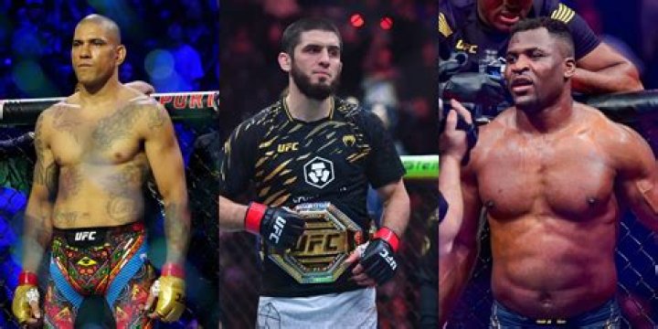 How many fighters are in the UFC 2018?