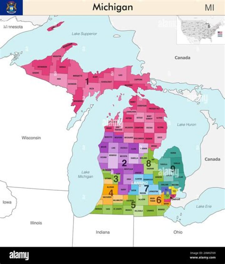 How many minors live in Michigan?