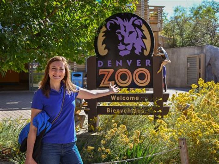 How much are Denver Zoo tickets?